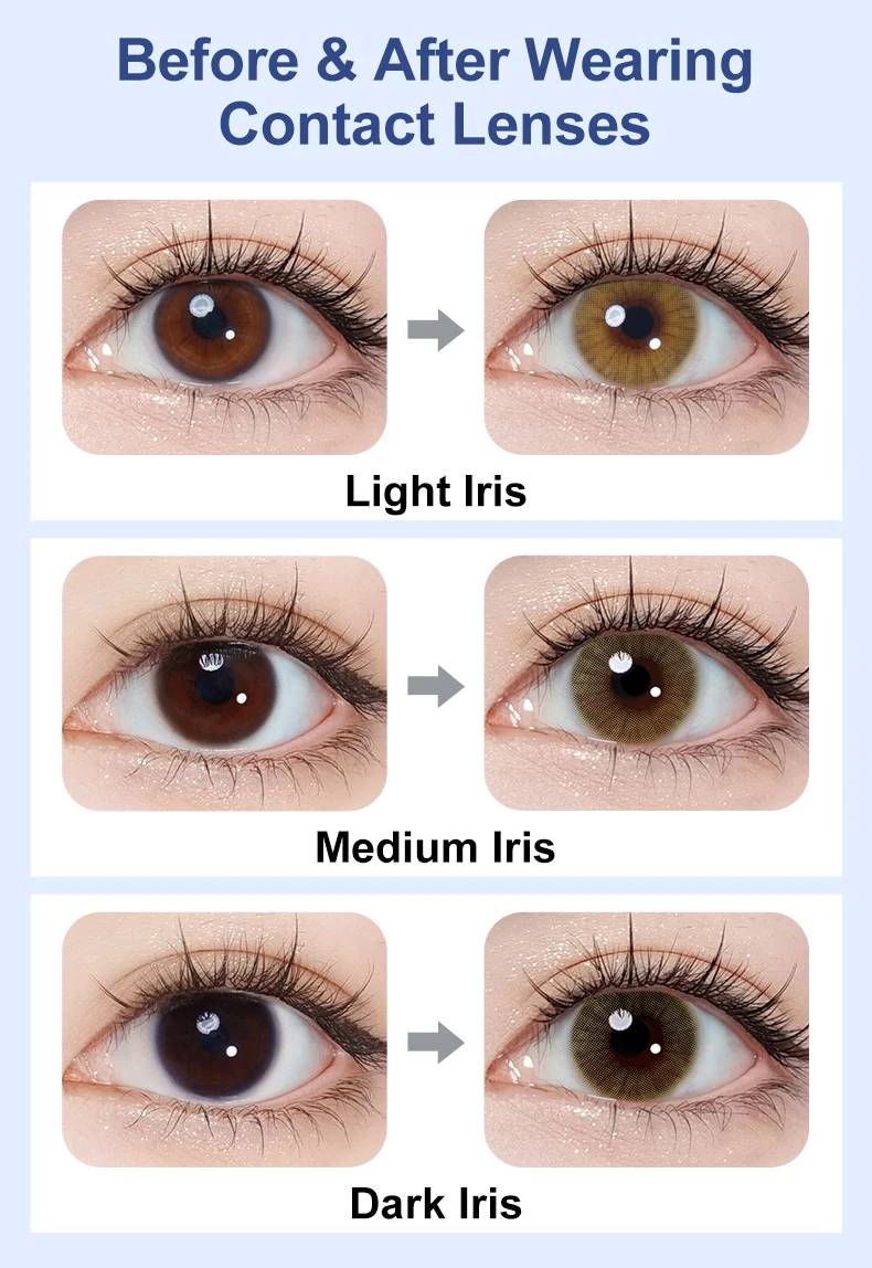 (0,00~-6,00) MAGISTER 14,0mm Kleindurchmesser-Kontaktlinsen mit Dioptrien Farbige Kontaktlinsen für Augen-Make-up 6 Monate – Detail 3