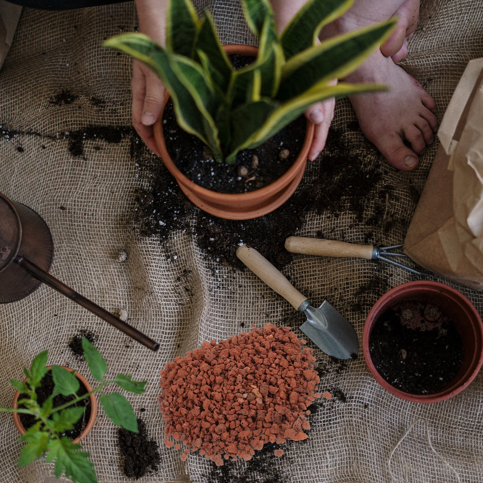 

5 Bags Natural Volcanic Rocks Aquarium Decoration Stylish Stable Landscape Fish Tank Volcanic Stone Plant Bonsai Ornaments