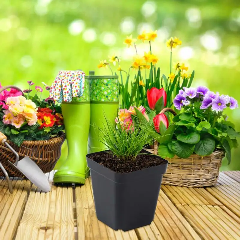 Pots For Seedlings Starter Pots 50pcs Seedling Cups Square Black Reusable Pot With Drainage Holes Gardening Kit Nursery Pot