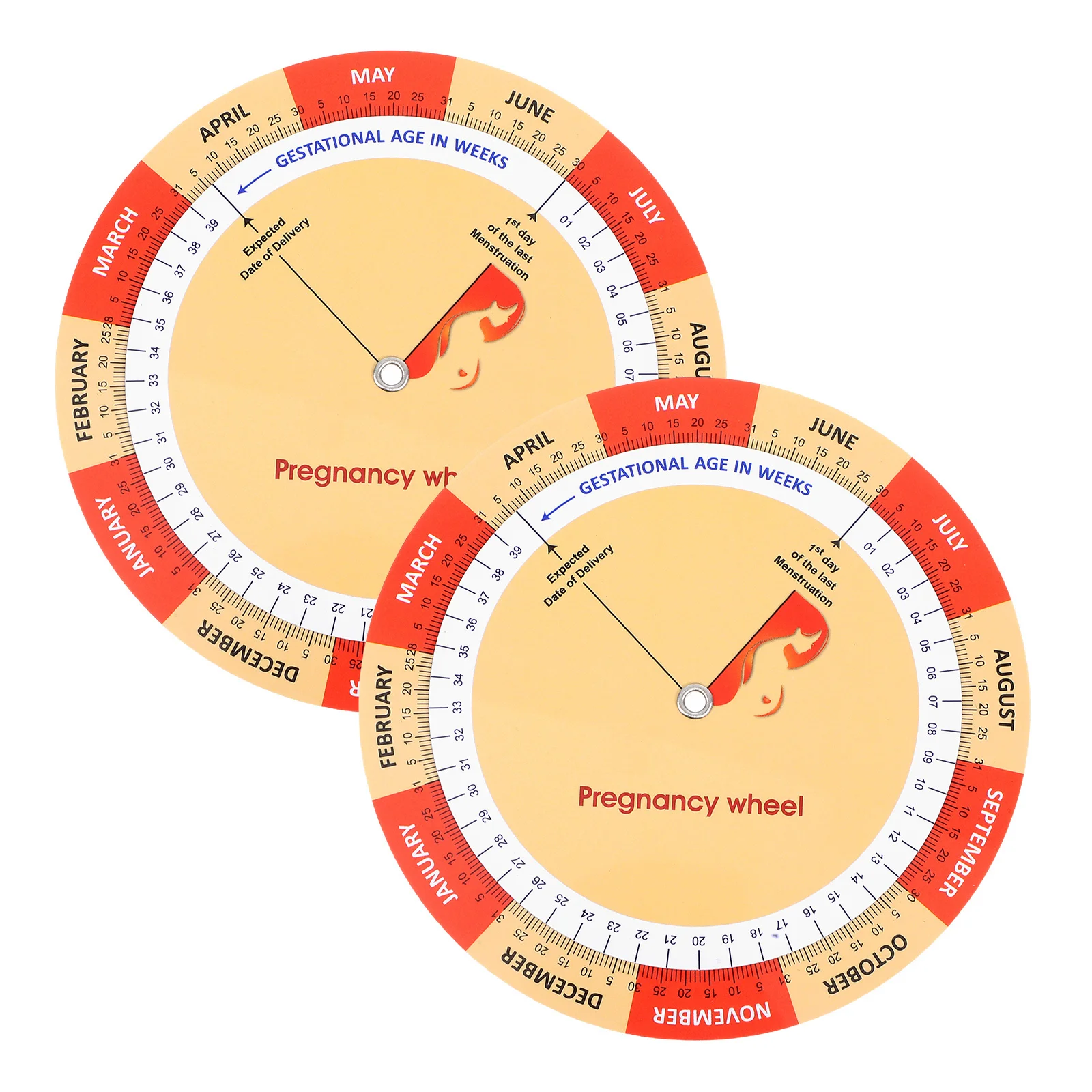 2Pcs Pregnancy Color Printed Tool for Expecting Mothers Pregnancy Guide Fetal Development Chart Tool Poster