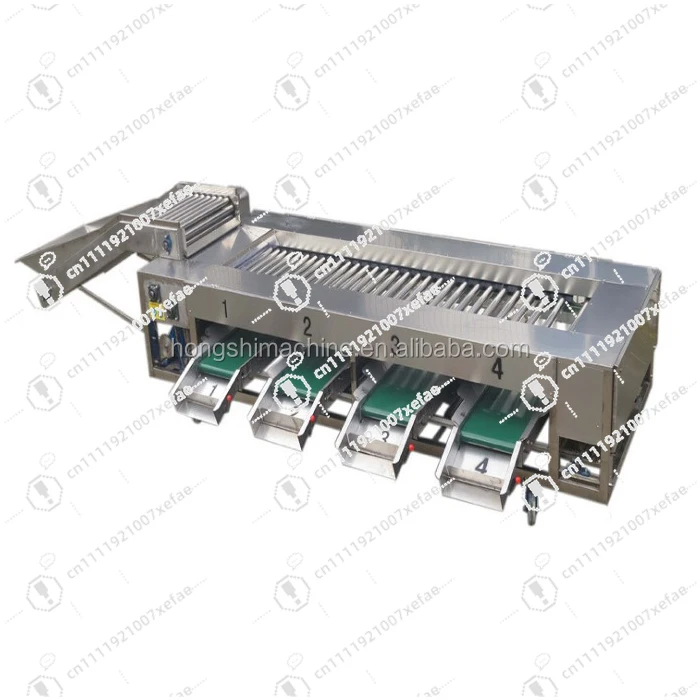 Roller Rotating Carrot Sorting Equipment/Cherry Tomato Sorter/  Sorter