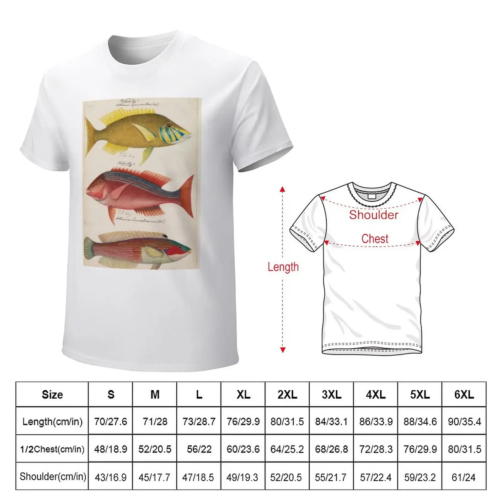 Sketches of Australian fishes, circa 1840 T-Shirt animal prinfor boys Blouse quick-drying funnys mens champion t shirts