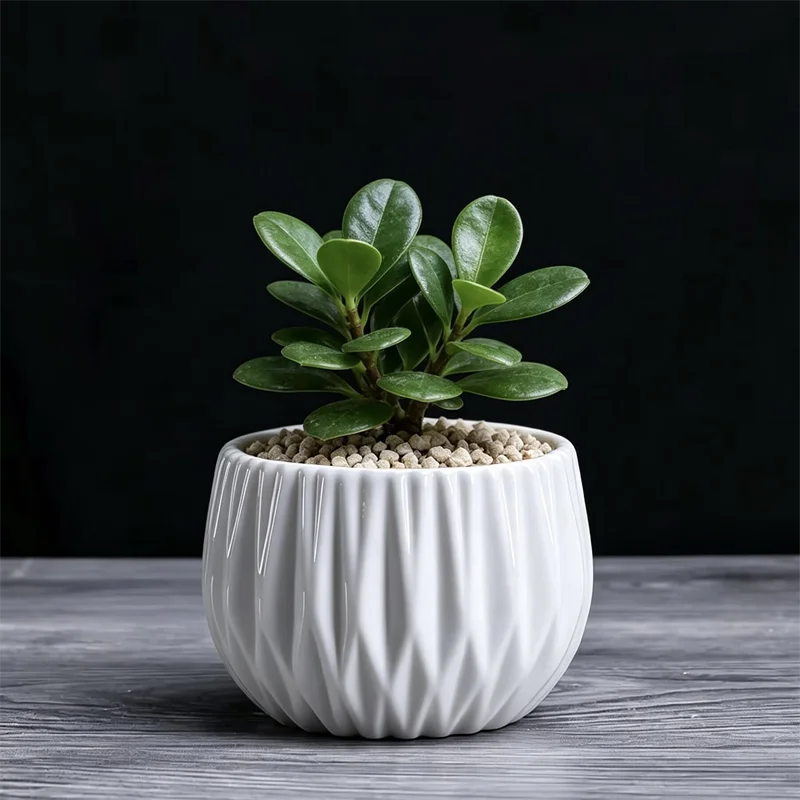Origami White Ceramic Succulent Planter Pot Mini Textured Flower Pot Small Bonsai Pot for Desktop Home Office Window Decor Gift