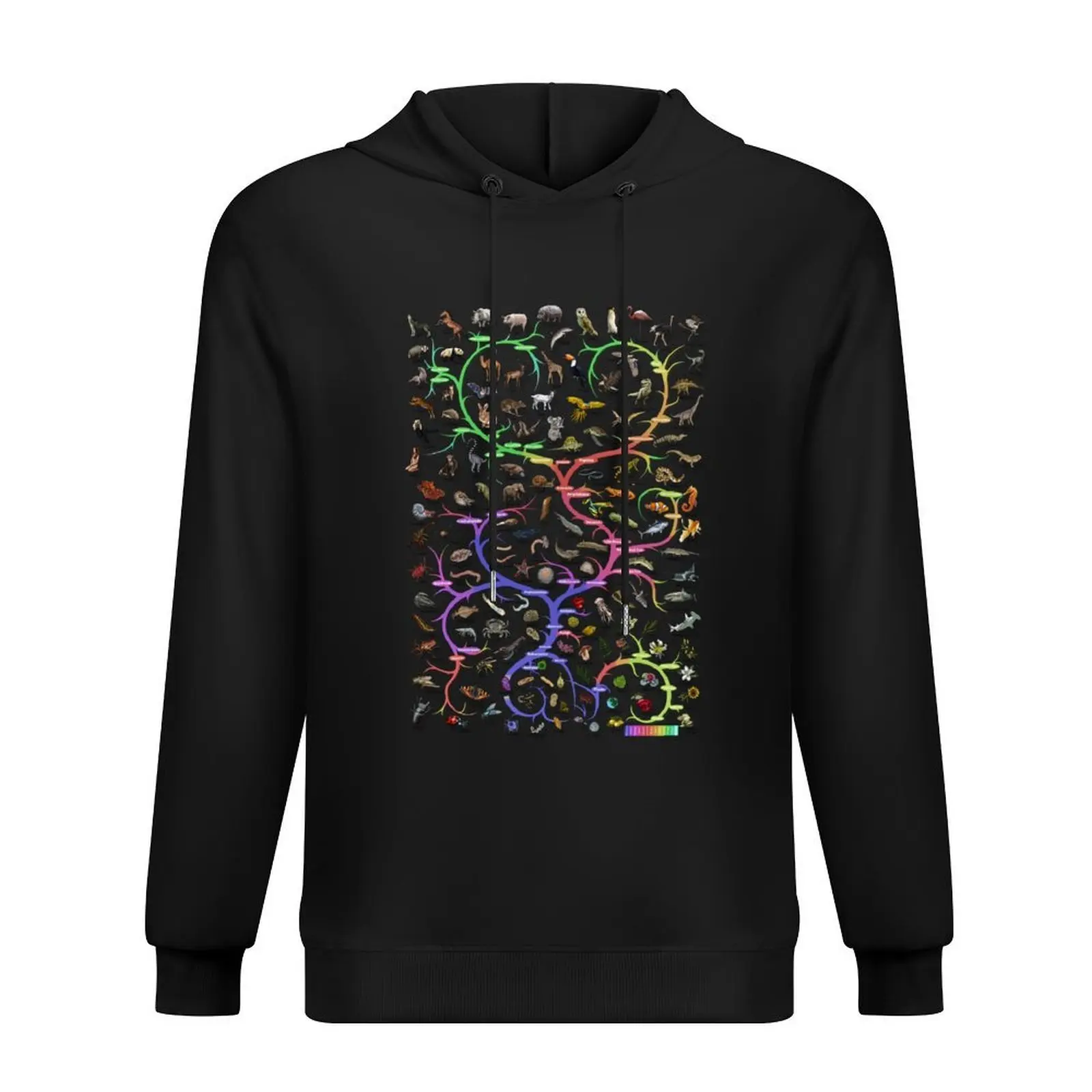 Animal and Plant Evolution - Tree of Life Poster - English Hoodie men's sweat-shirt hoodie for men