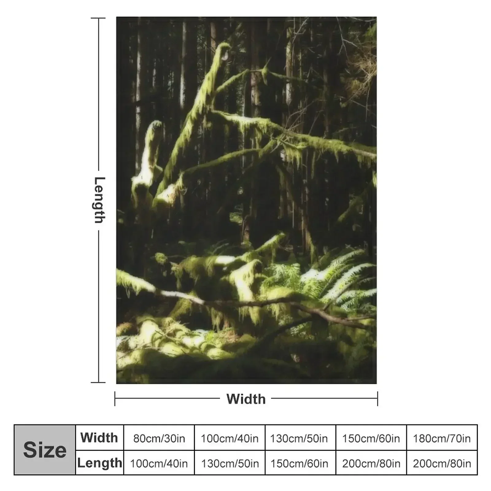 Bigfoot Woods 2 Throw Blanket couch cozy soft plush fuzzy picnic outdoor blanket