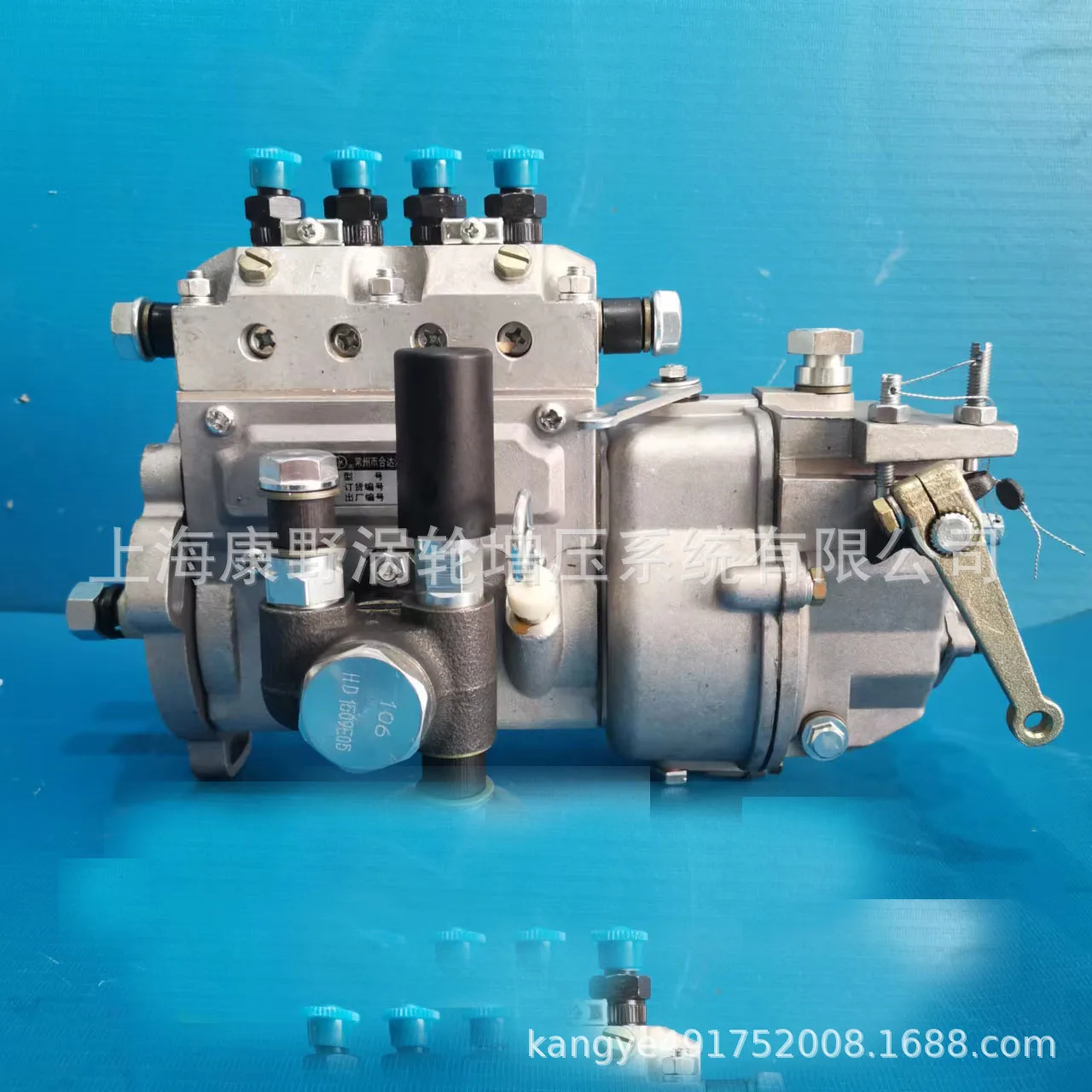 Bq Fuel Injection P… - image