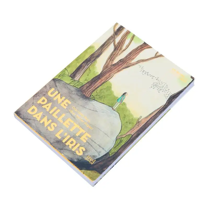 Une Paillette Dans Liris Charlotte Pons Seuil Jeunesse 9791023520637 Book