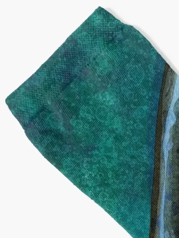 The Steelhead Trout Socks heated custom Wholesale men cotton high quality Socks For Man Women's