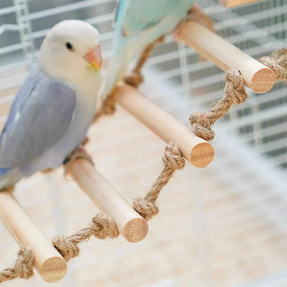 Thumbnail 3 - #15 Bird Cage Ladders Deals & Discounts