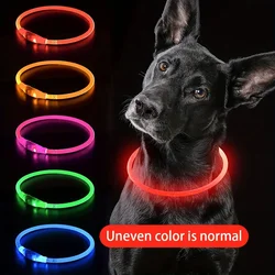 Pet Dog LED Light Collar Luminous Anti-Lost Dog Collar USB Rechargeable Dog Necklace Collar