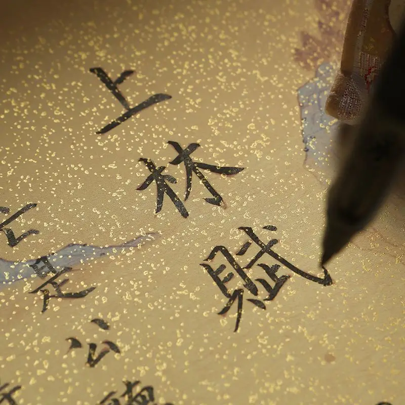 Long Scroll Calligraphy Tracing Copybook with Shen Lin Fu Full Text, Reusable Brush Practice Scroll for Beginners and Adults