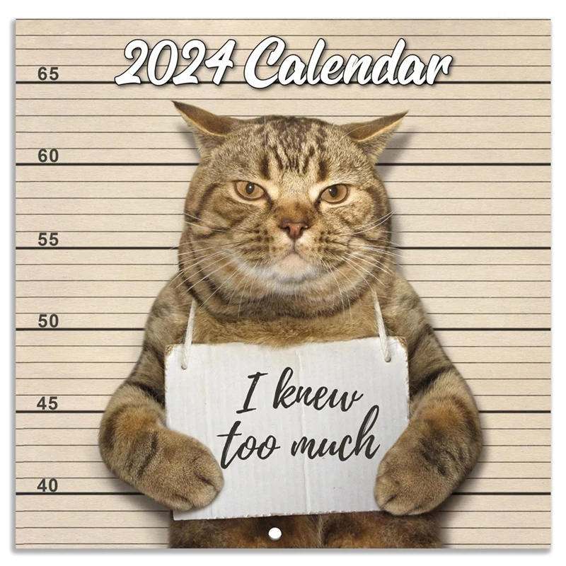 

2024 Wall Calendar January 2024 - December 2024, Wall Calendar Gag Gift Funny Cat