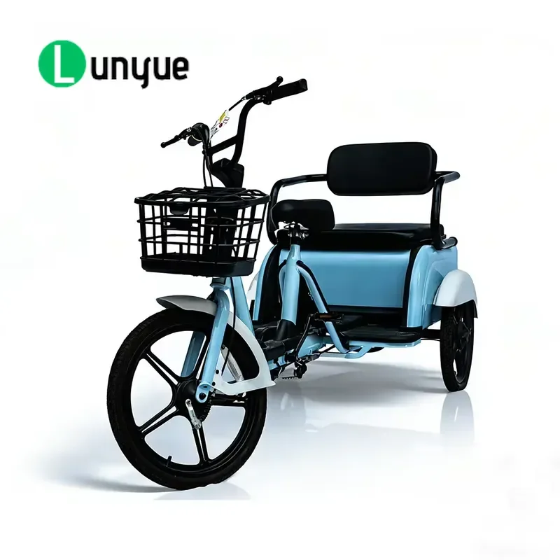 Lightweight High Carbon Steel Pedal Tricycle Open Body Leisure Riding Passenger Trike For Elderly Commuting Durable