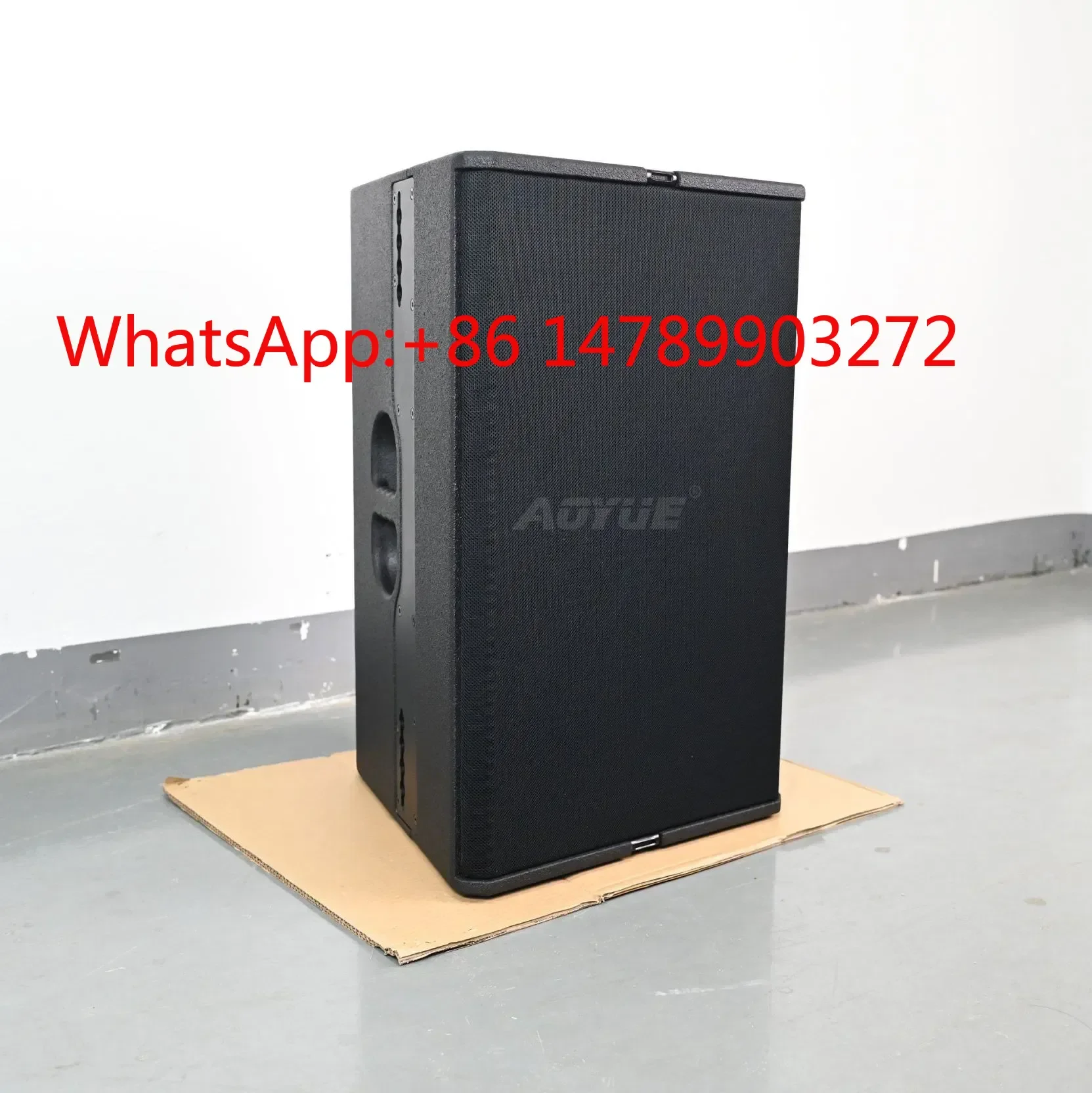 T-24N 12 Inch 2-Way Passive Full Range Speaker, Point Source Audio