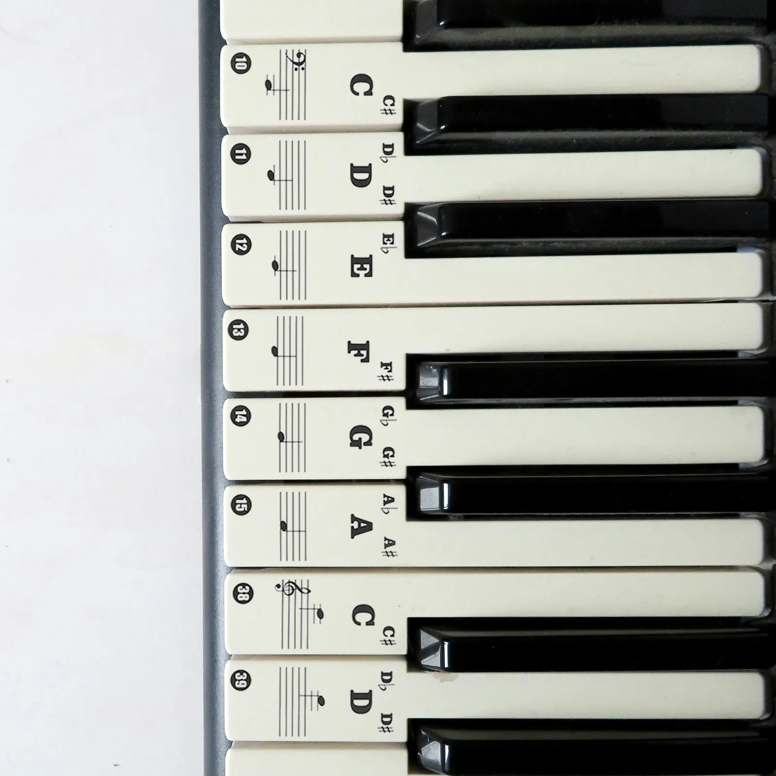 1Set Piano Keyboard Stickers Beginner Decal Sturdy Wear-Resistant Help Learn Piano Skills No Adhesive Residue Keyboard Note