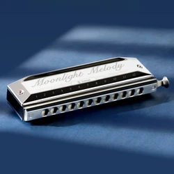 Beginners Professional Harmonica Introductory Practice Chromatic Mouth Organ 10 Hole /12 Hole C Key Musical Woodwind Instruments
