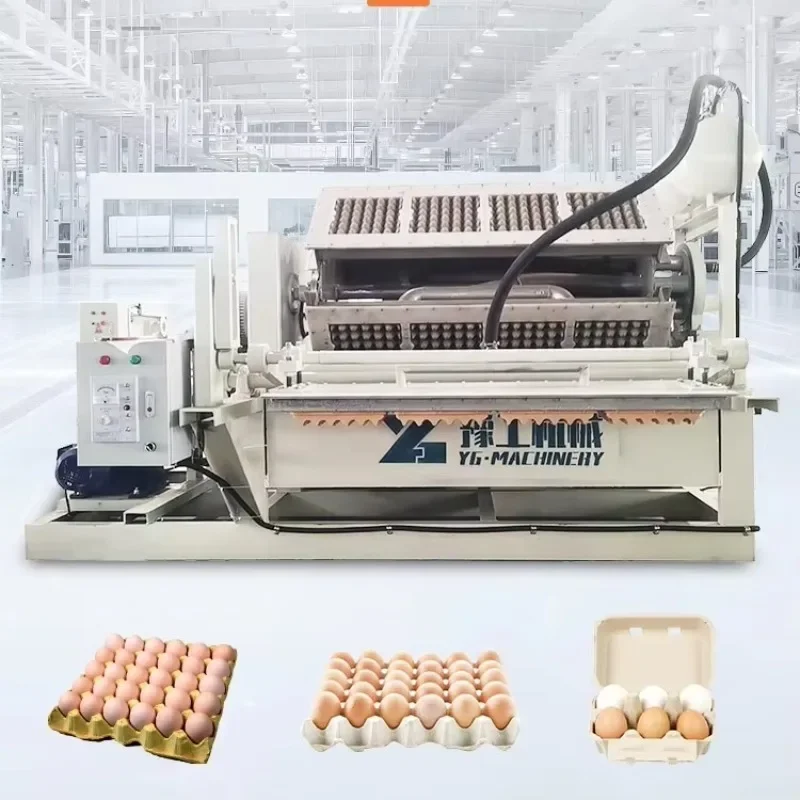 Automatic Egg Tray Moulding Machine Production Line System For Pulp Egg Box Manufacturing And Crate Forming Equipment SaleHot Sa