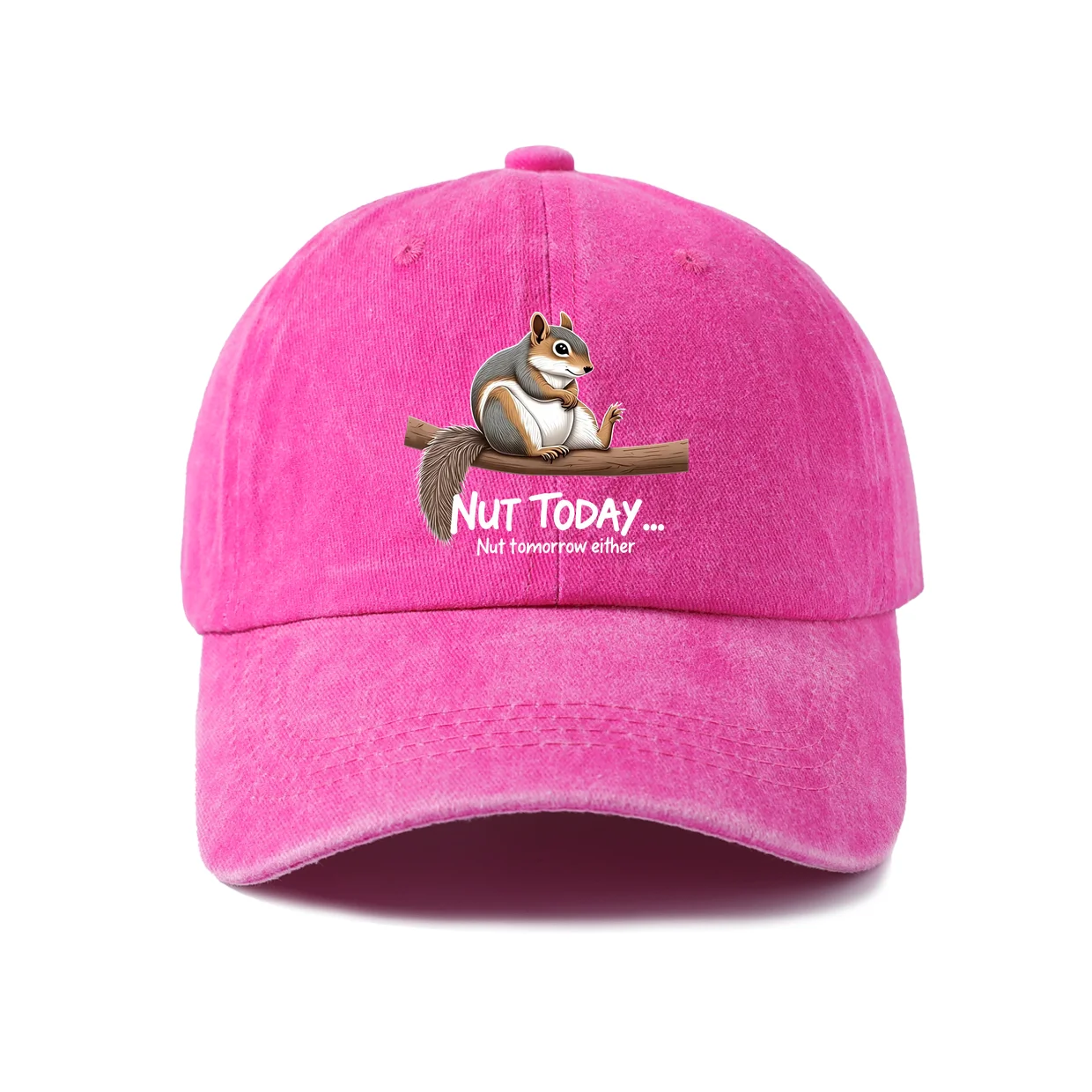 Funny Squirrel Nut Quote Graphic Baseball Cap, Vintage Washed Adjustable Unisex Dad Hat, Streetwear Gift
