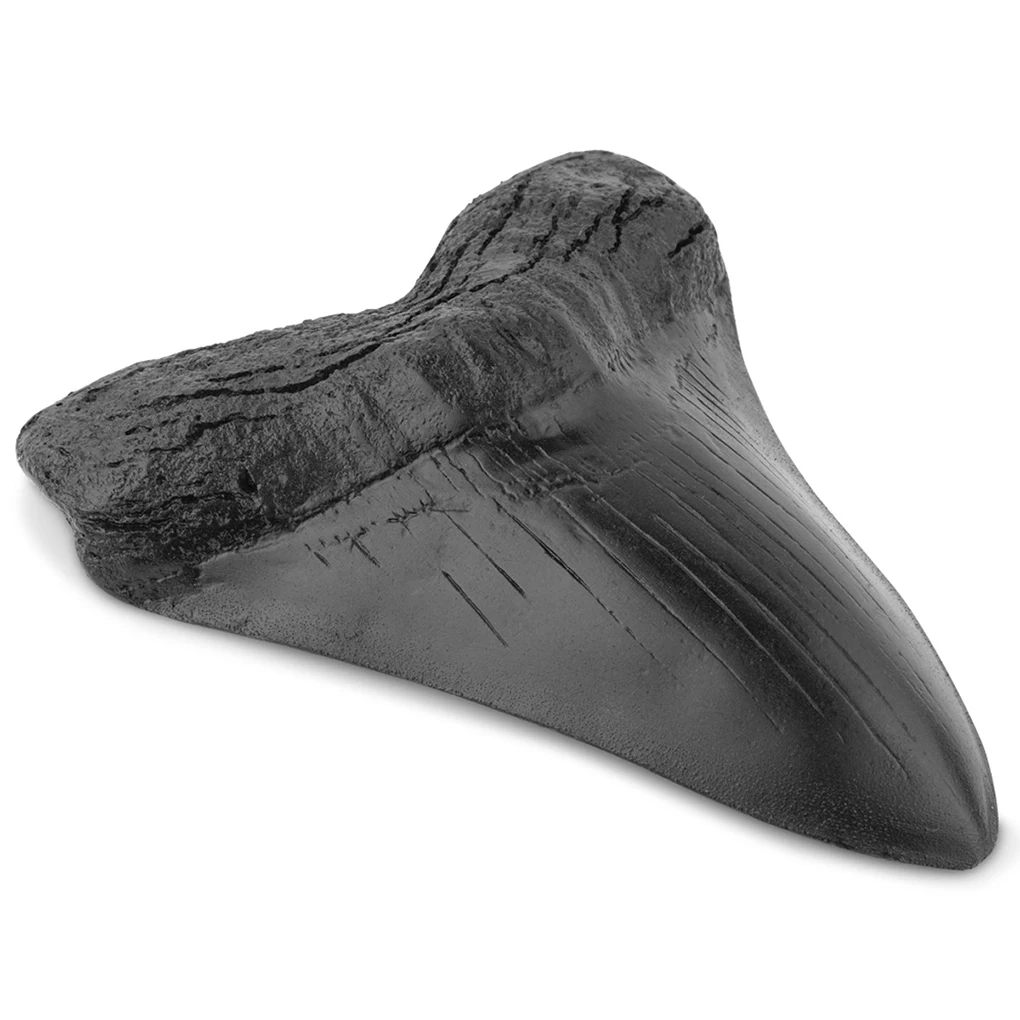 Shark Tooth Resin Vintage Realistic in Shape Megalodon Tooth Black