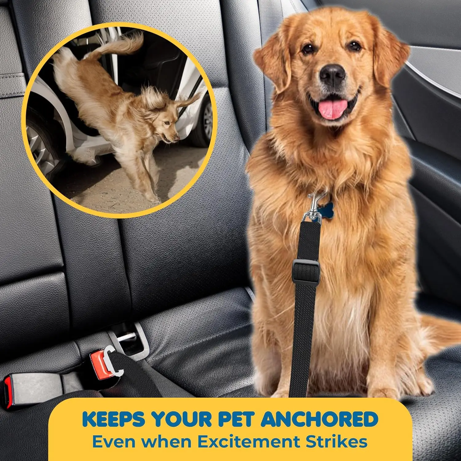 Pet seat belt, General Motors seat belt, essential for pet travel, suitable for various cars, adjustable length (16.9-28 inches)
