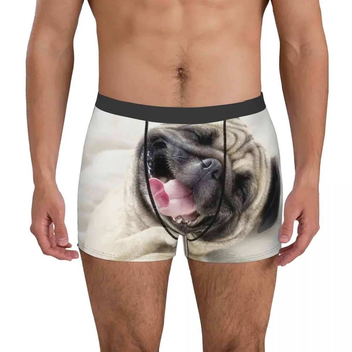 Rules Of The Jungle- Funny Dog Faces Men's Boxer Briefs Shorts Men Underpants Cartoon Men's Panties Soft Underwear For Men