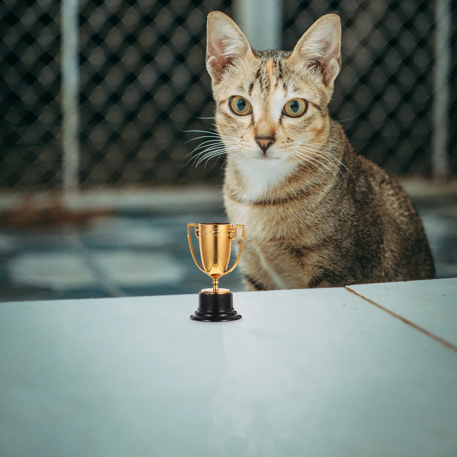 

Набор из 3 маленьких пластиковых трофеев для детских праздников, наград в классе, спортивных мероприятий, банкетов, сценических декораций, подарков