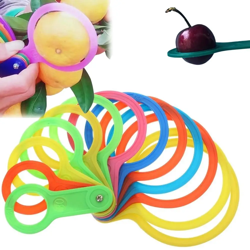 Plastic Fruit Measuring Gauges Multicolor Rivet Pivot Fruit Diameter Measuring Rings Universal Fit 30-120mm