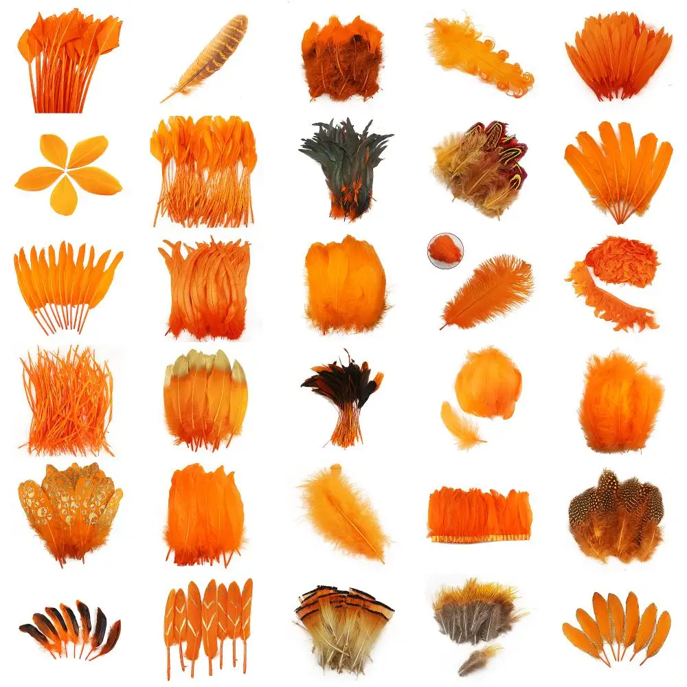 31 Styles Orange Feathers Assortment for DIY Crafts Costume Masquerade Earrings Pheasant Rooster Duck Feathers Bulk Supply