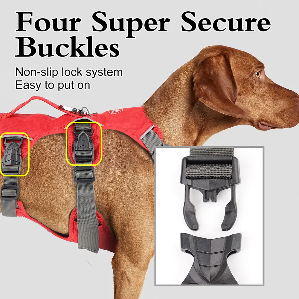 Guinzaglio riflettente con collare per addestramento cani Beretta by Ferplast | Beretta