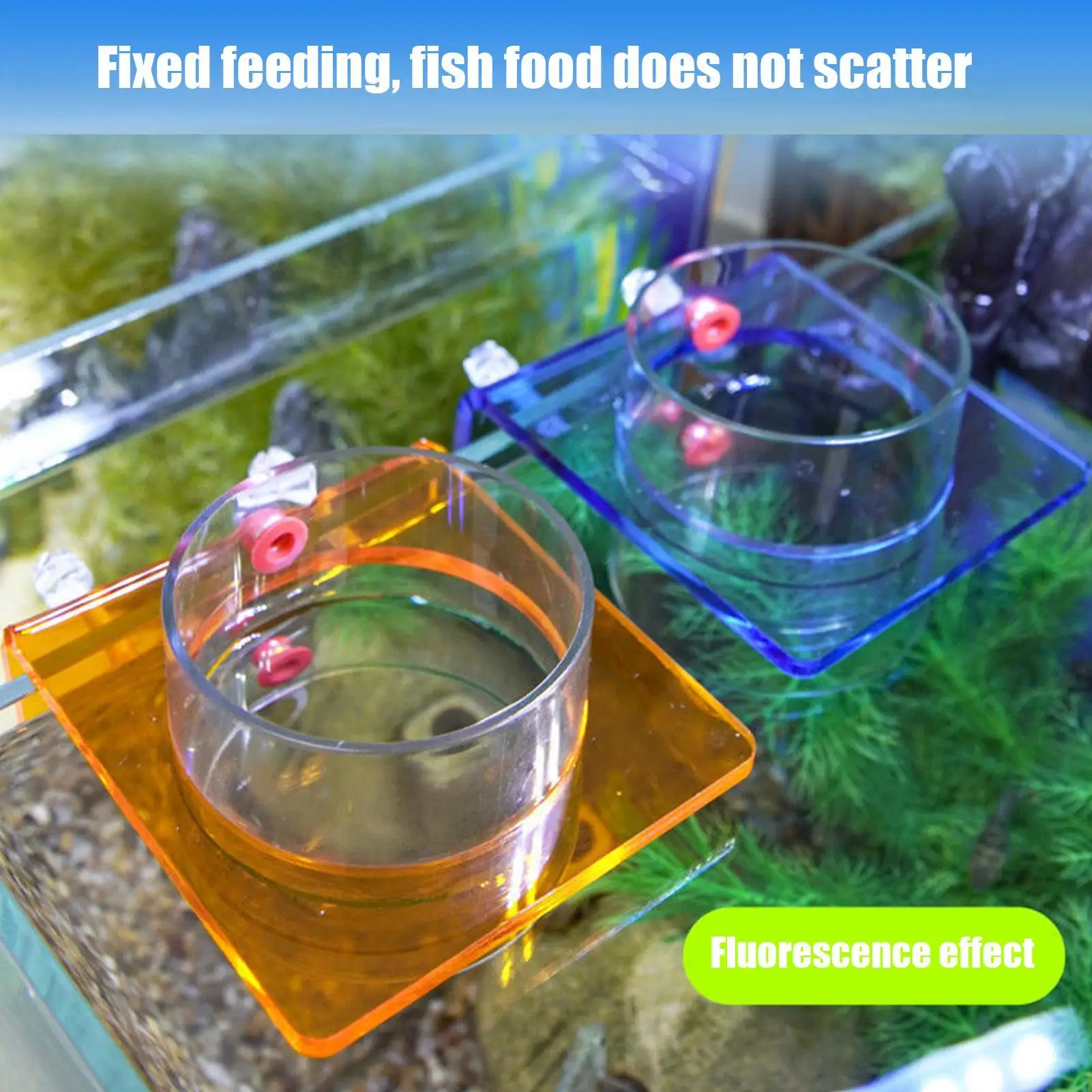 Aquarium Fish Tank Aquatic Feeder Transparent Arcylic Floating Food Feeding Ring Betta Fish Tank Shrimp Feeder Aquarium Supplies