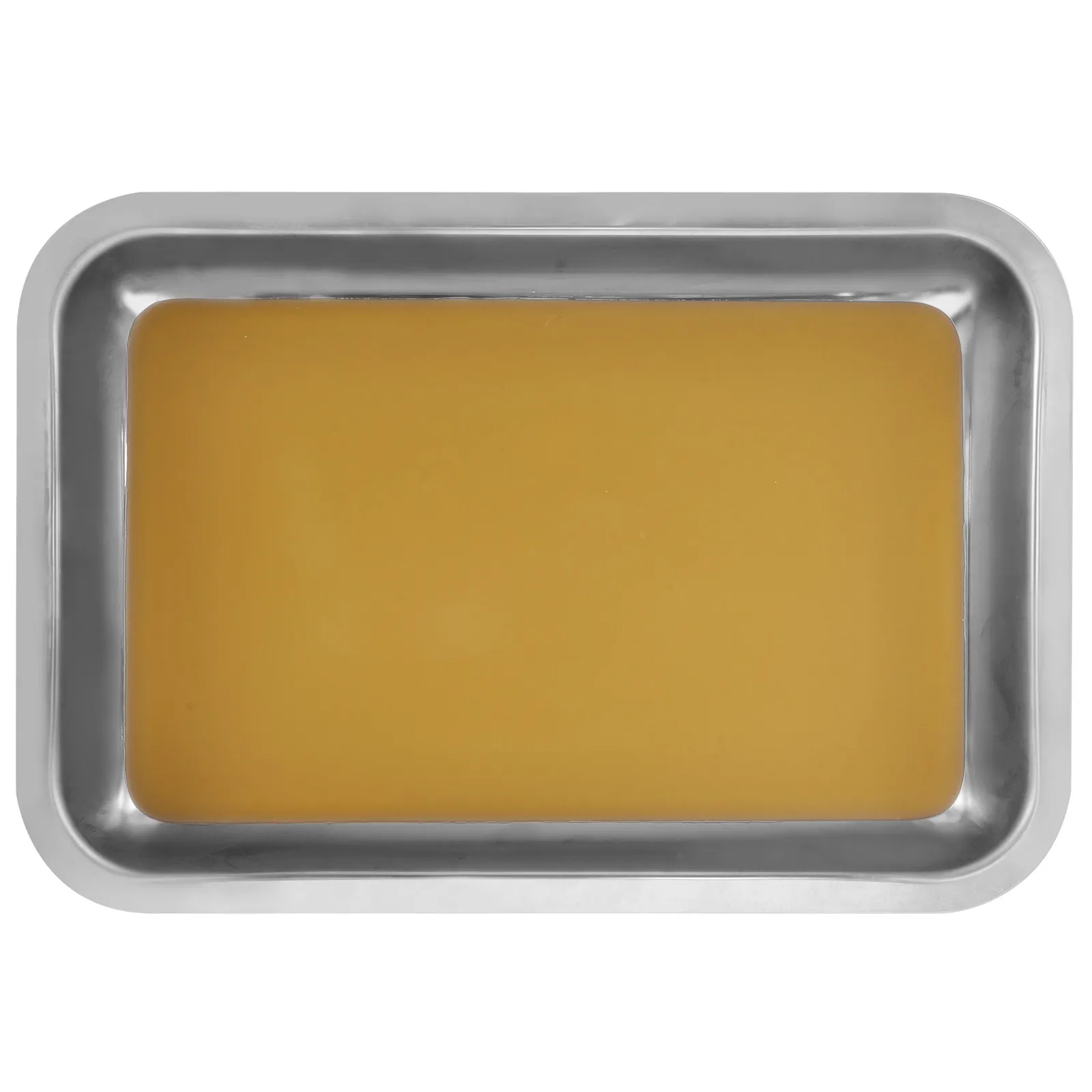 

Dissection Plate Stainless Steel Dissecting Tray for Lab Anatomy Studies Educational Science Experiments Heavy Duty Easy to