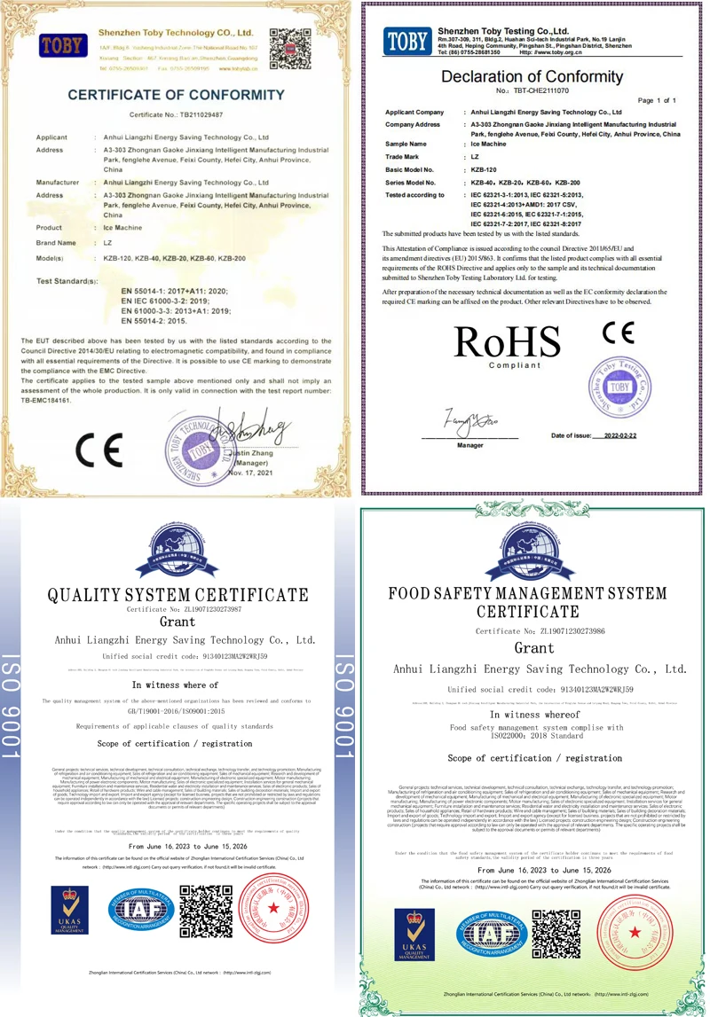 8 كجم/دقيقة LZ-168 صانع وكسارة الثلج الصناعية عالية الجودة في هاواي
