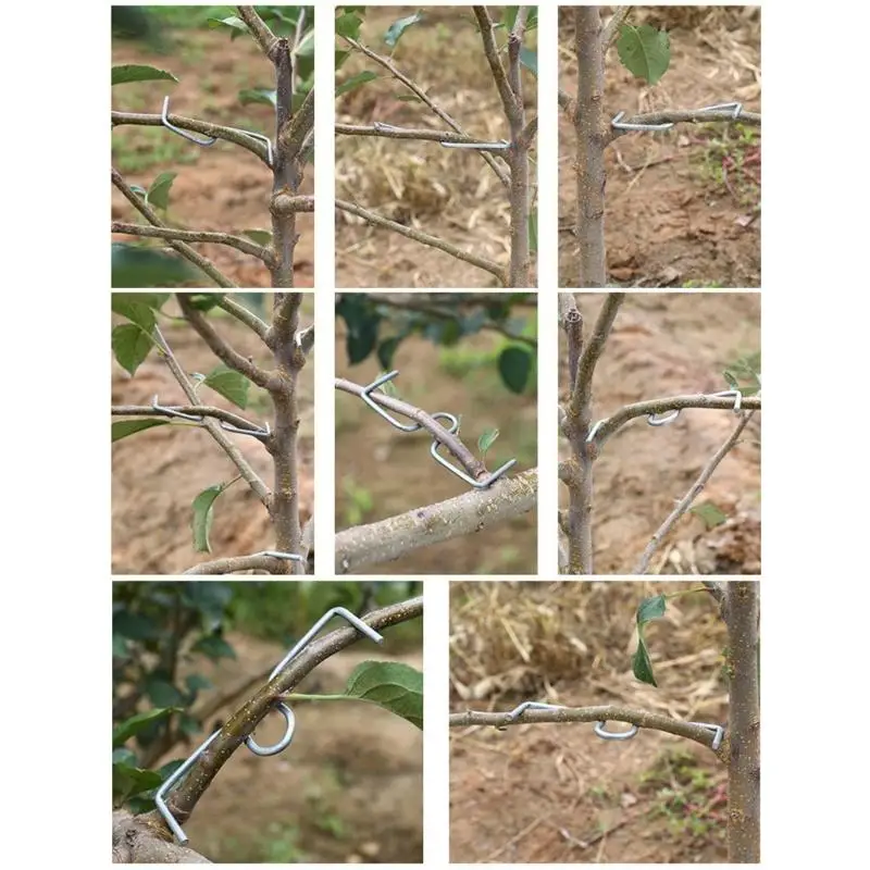 652F 15Pieces Galvanized Steel Tree Branch Spreaders 3 Sizes Training Devices