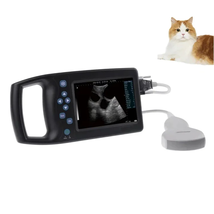 Professional Supplier Vet ultrasound Medical Device Portable Ultrasound Machine Scanner Machine animal Ultrasound Equipment