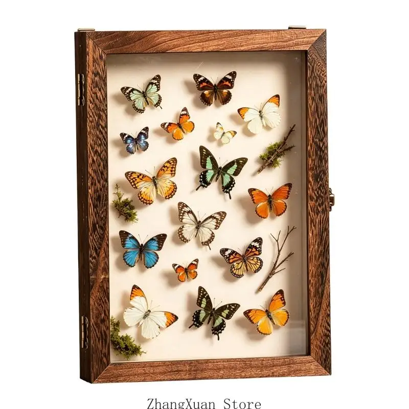 Acryl-Insektenvitrine mit Pinnwand für Büro- und Arbeitszimmer, 3 x – Detail 9