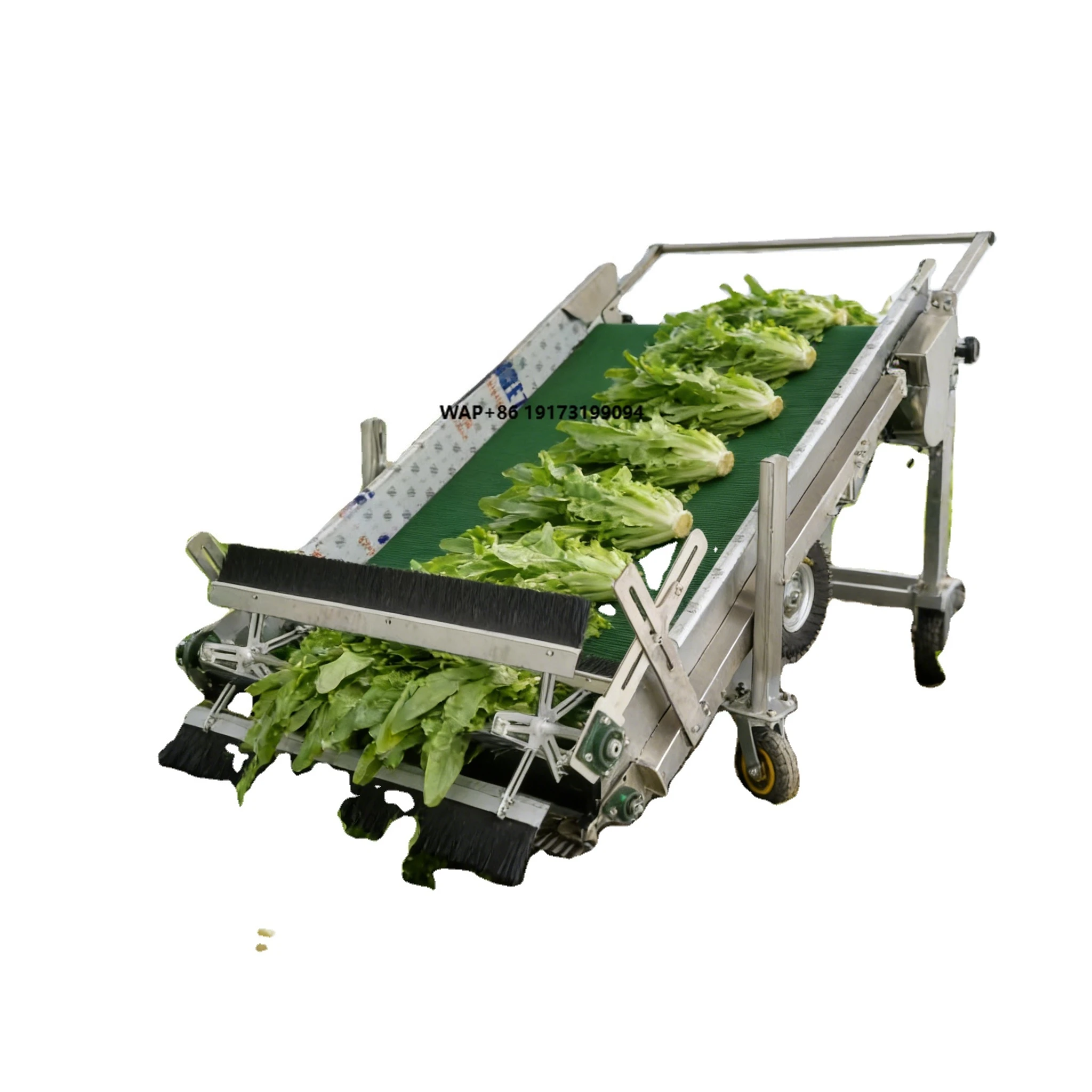 Mini Electric Leafy Vegetable Harvester Easy Operate Farm Equipment for Small Farm Lettuce Rape Harvesting High Quality Hot Sale