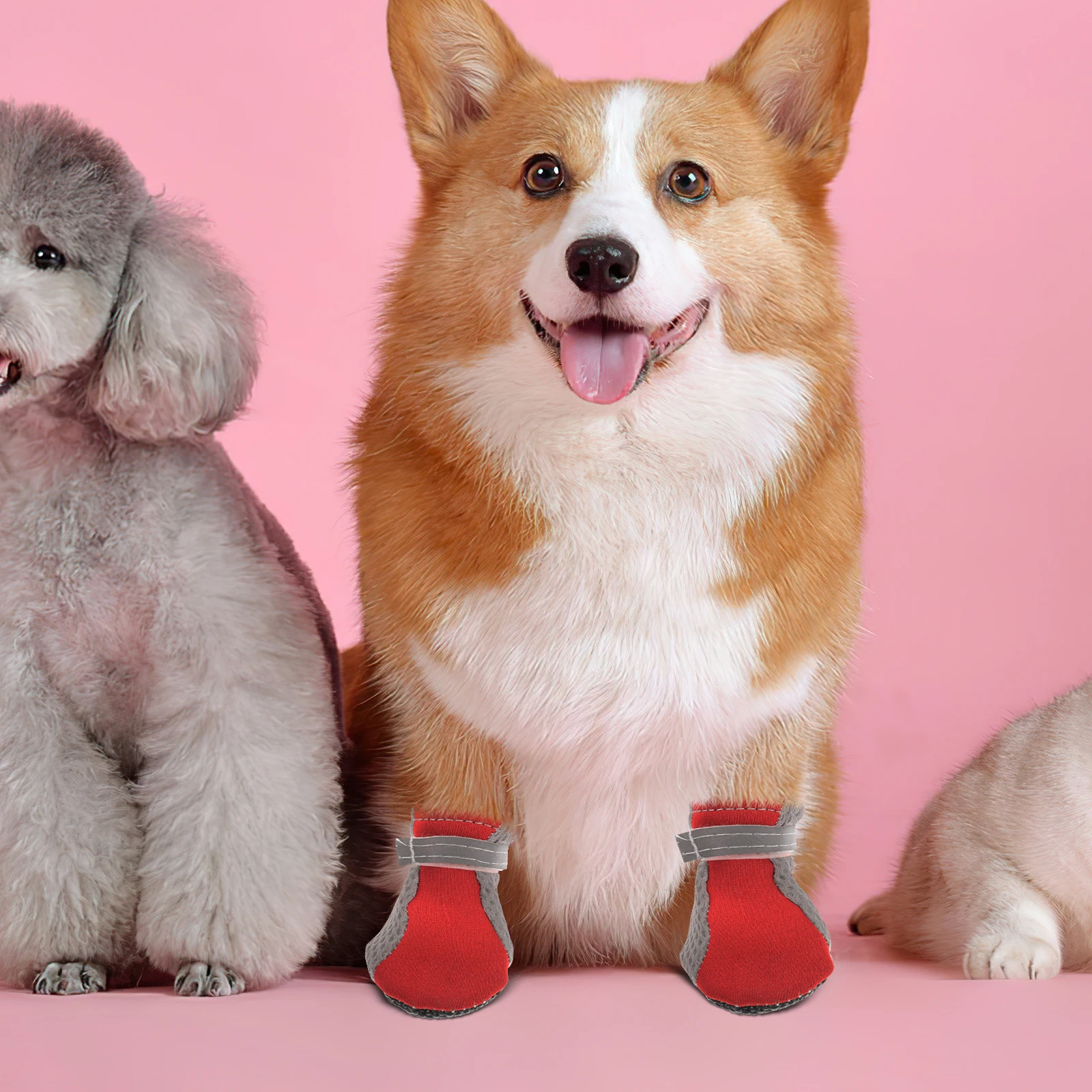 

4Pcs Dog Socks Small Pet Shoes Breathable Mesh Non-slip Soft Bottom Puppy Boots Blue S Outdoor Protective Footwear