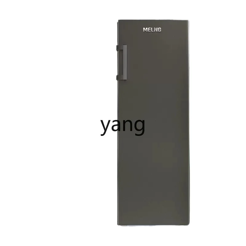 

CX 206 liters L household and commercial electronic control frequency conversion air-cooled frost-free vertical freezer