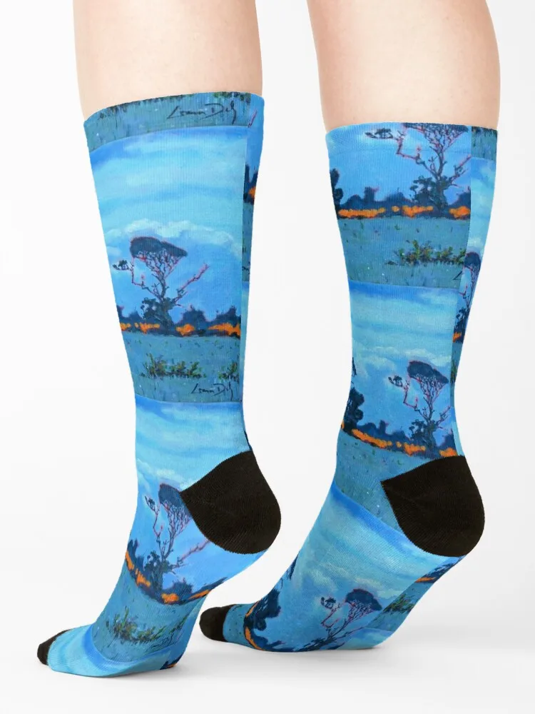 West Cork Trees, Irlanda Calcetines Año nuevo compresión hip hop Calcetines Mujer Hombre