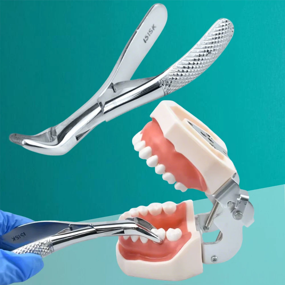 45° Pediatric Tooth Extraction Forceps – Universal High-Quality Design for Dental & Orthodontic Use