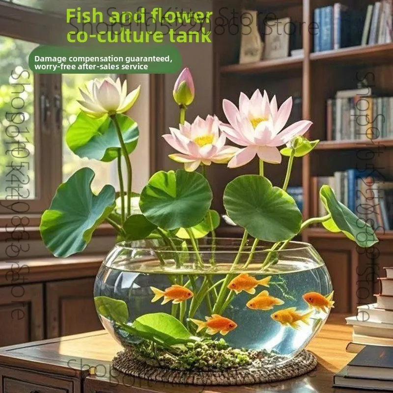 Simple large hydroponic glass vase transparent bowl lotus flower copper coin grass flower pot