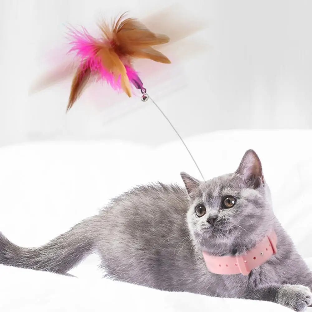 Entertaining Elastic Pets Collar Kitten Playing Teaser Wand for Indoor