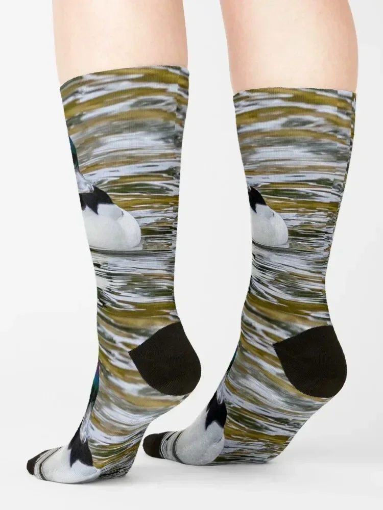 Bufflehead Socks retro valentine gift ideas kids Run Mens Socks Women's