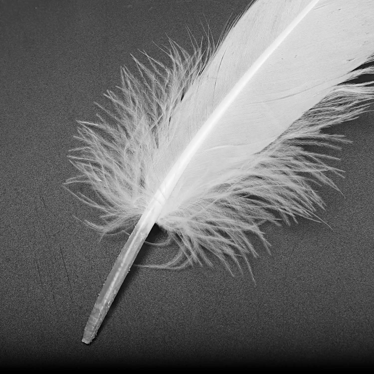 100pcs White Feathers Goose Craft for Party Hat Crafts Wedding Decoration 15-22cm