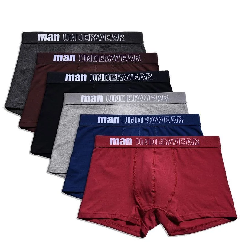 6Pcs Men Boxer Shorts Soft Boxers for Men's Panties Men Underpant Combed Cotton Sexy Underwear 3D Pouch Boxer Shorts Size L-4XL