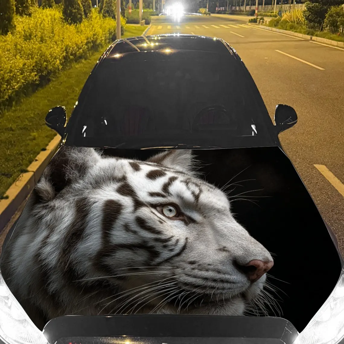 

Car Decals A White Tiger Showcasing Serene Elegance And Striking Contrast In A Subtle, Close - Up Scene Car Hood Sticker, Waterp