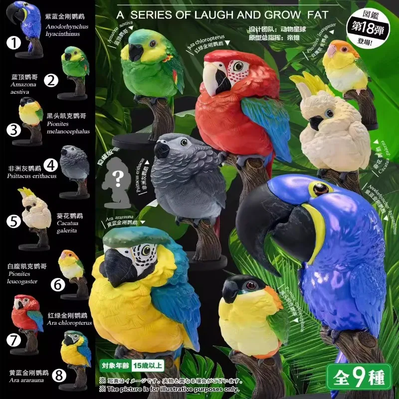 Original Animal Planet Laugh and Grow Fat Macaw Cockatoo Parrot Resin Animal Anime Action Figure Model Gifts Collection Ornament