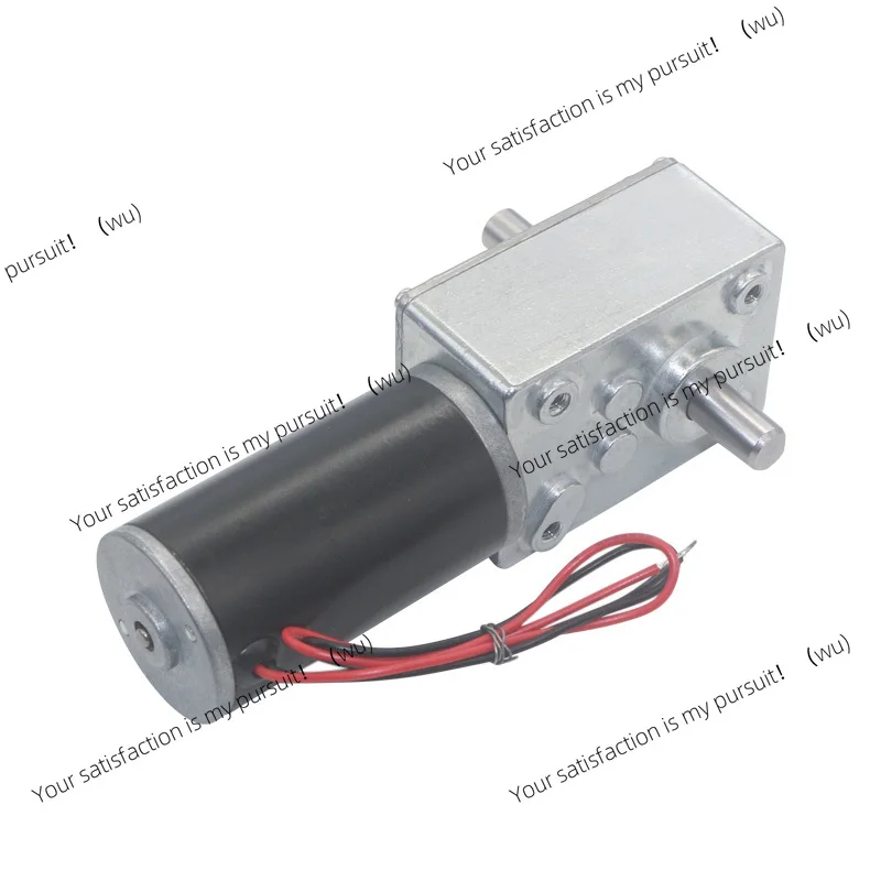 5840-31ZYS, 12V self-locking gearbox 24V high torque dual-axis DC motor, suitable for fan reducer