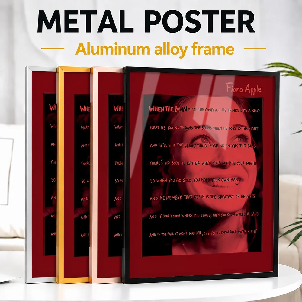 Fiona Apple When The Pawn Album Cover Metal Poster With Aluminum Alloy Frame Customized Artist Legacy Wall Art For Room Fan Gift