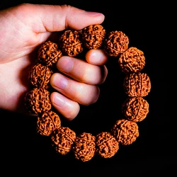 Cool Rudraksha Vajra Bodhi Meditation Bracelet Bodhi Tree Seeds Chain Elastic Wristband Peace Meditative and Cheerful Lucky Gift